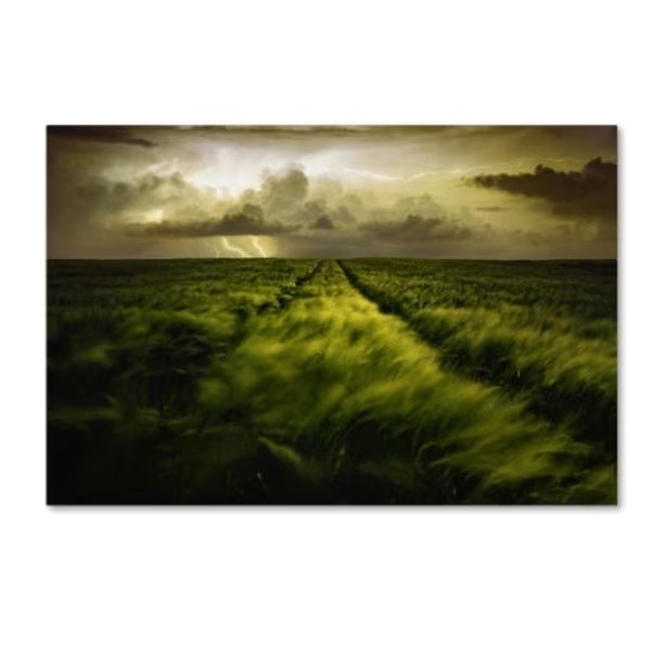 Sona Buchelova 'Journey To The Fierce Storm' Canvas Art, 22x32, Trademark Fine Art, Mfr#: 1X02908-C2232GG